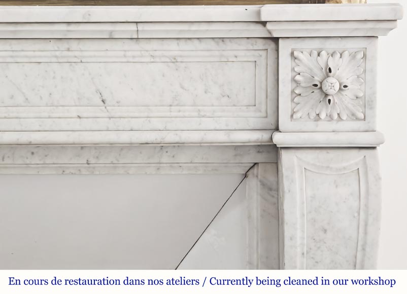 Cheminée de style Louis XVI en marbre de Carrare, décorée de fleurs de tournesol-6