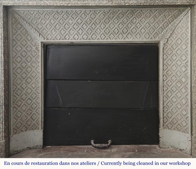 Cheminée de style Napoléon III à decor floral, en marbre vert d'Estours-10